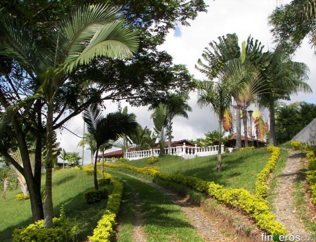 10034 - Finca en Manizales, Caldas